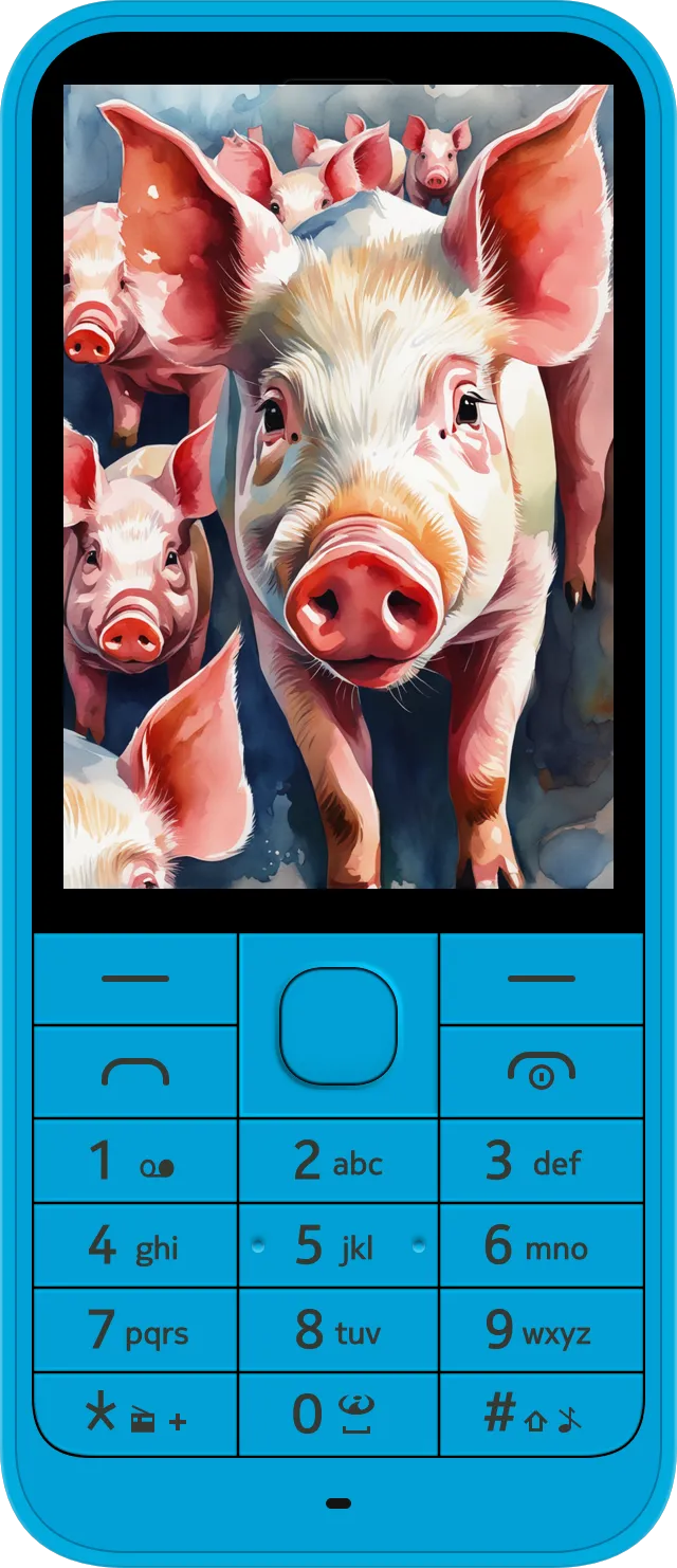 pig,pig wallpaper
